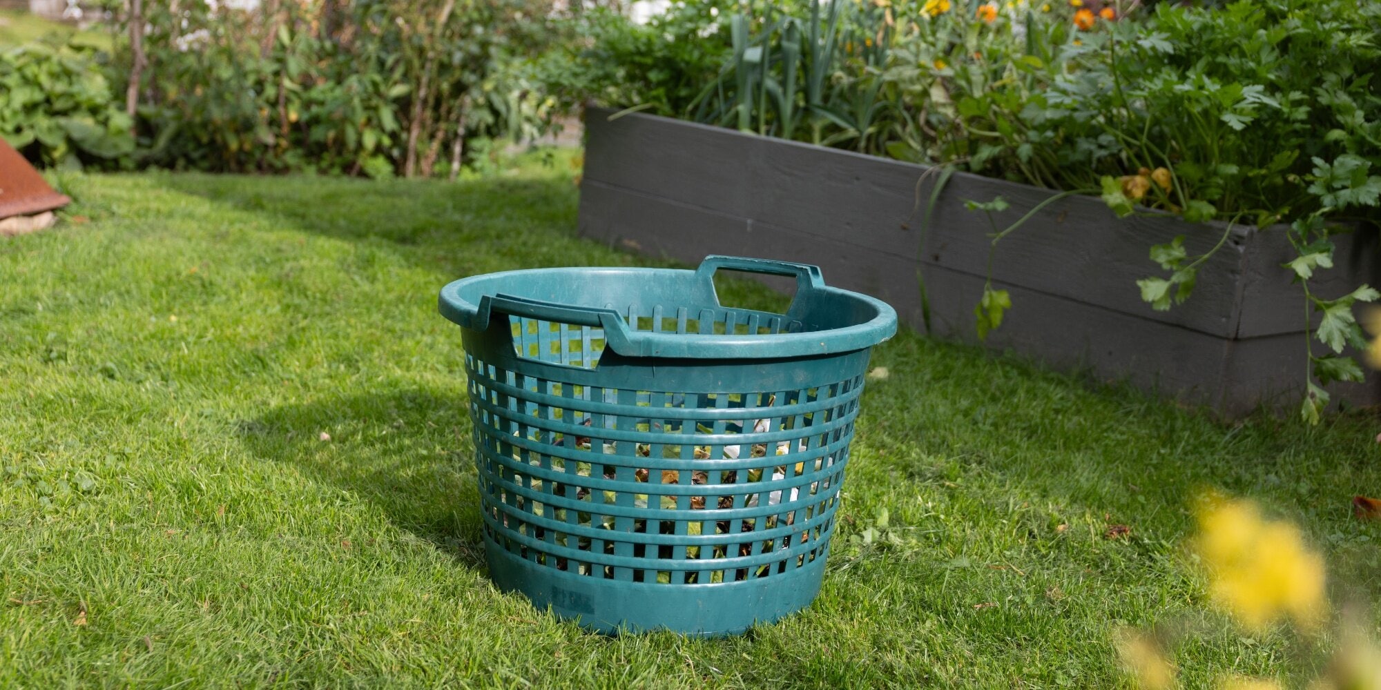 Garden_topimage
