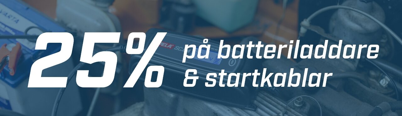 25% laddare