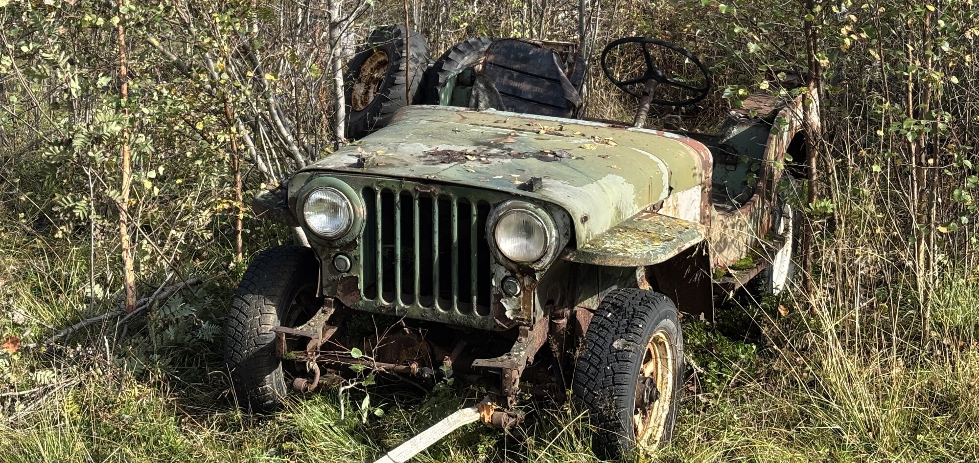 Willys Jeep