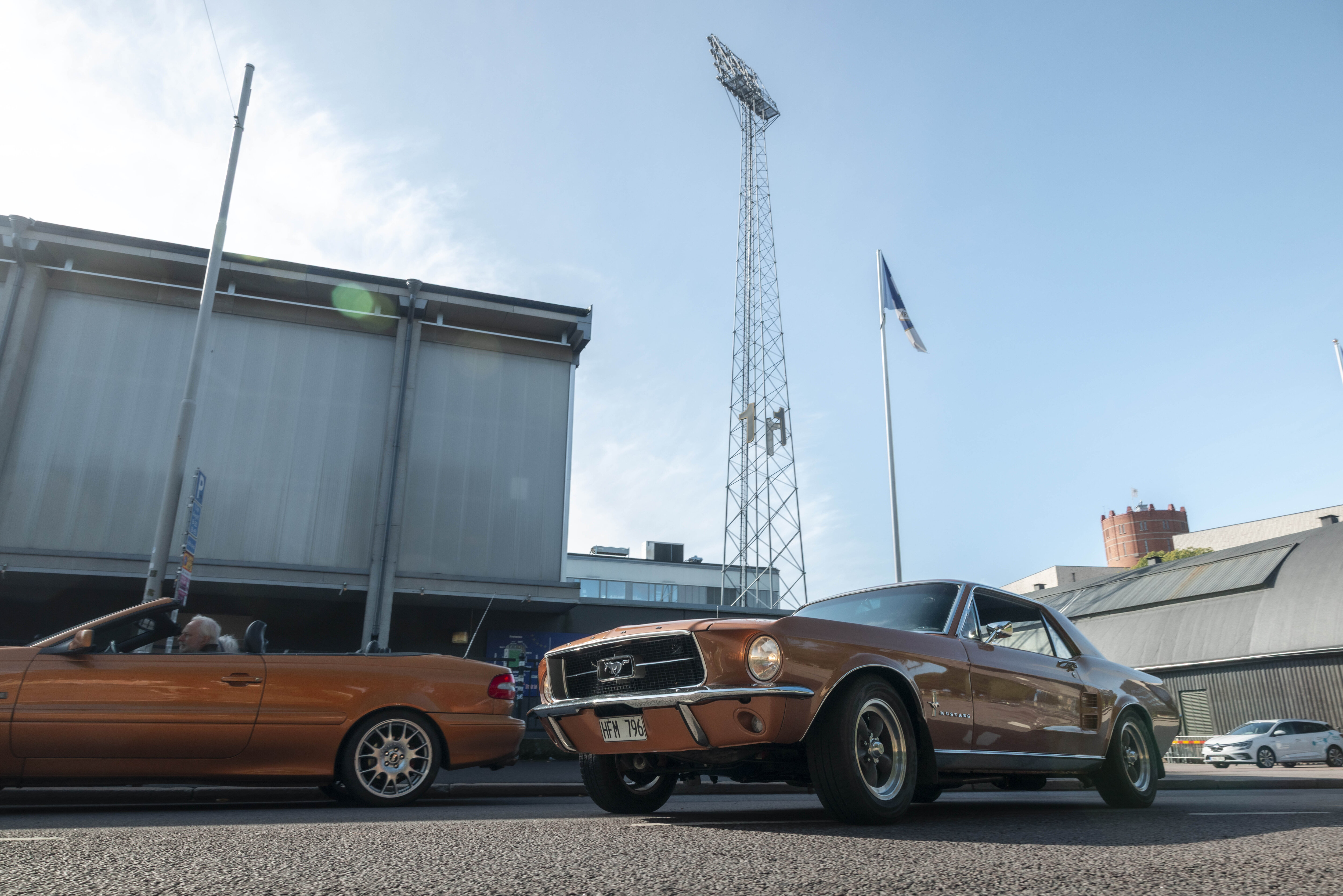 mustangs
