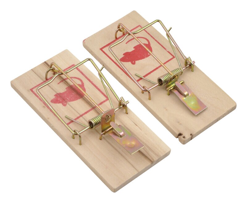 Product Image for Musfällor, 2-pack