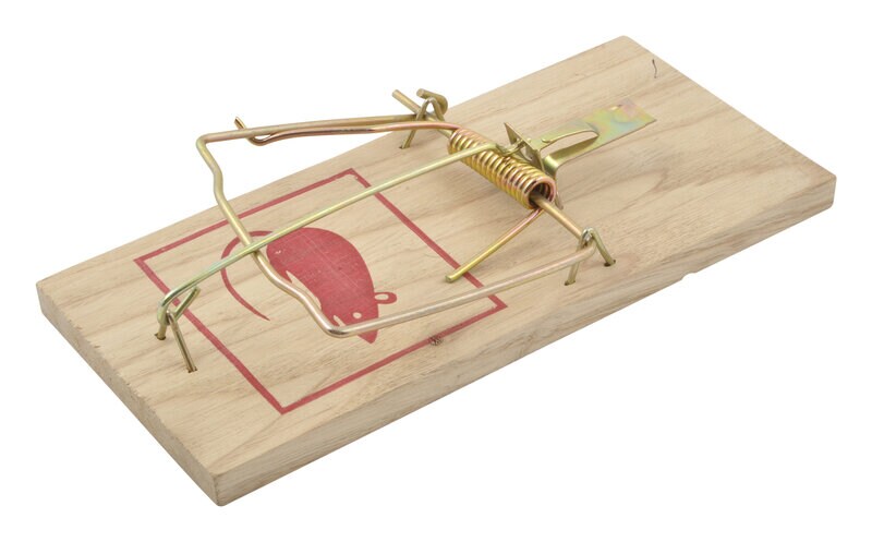 Product Image for Råttfälla, 1-pack