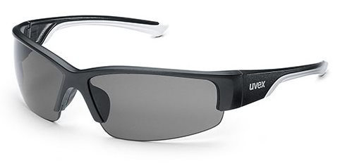 Product Image for Skyddsglasögon Polavision 9231