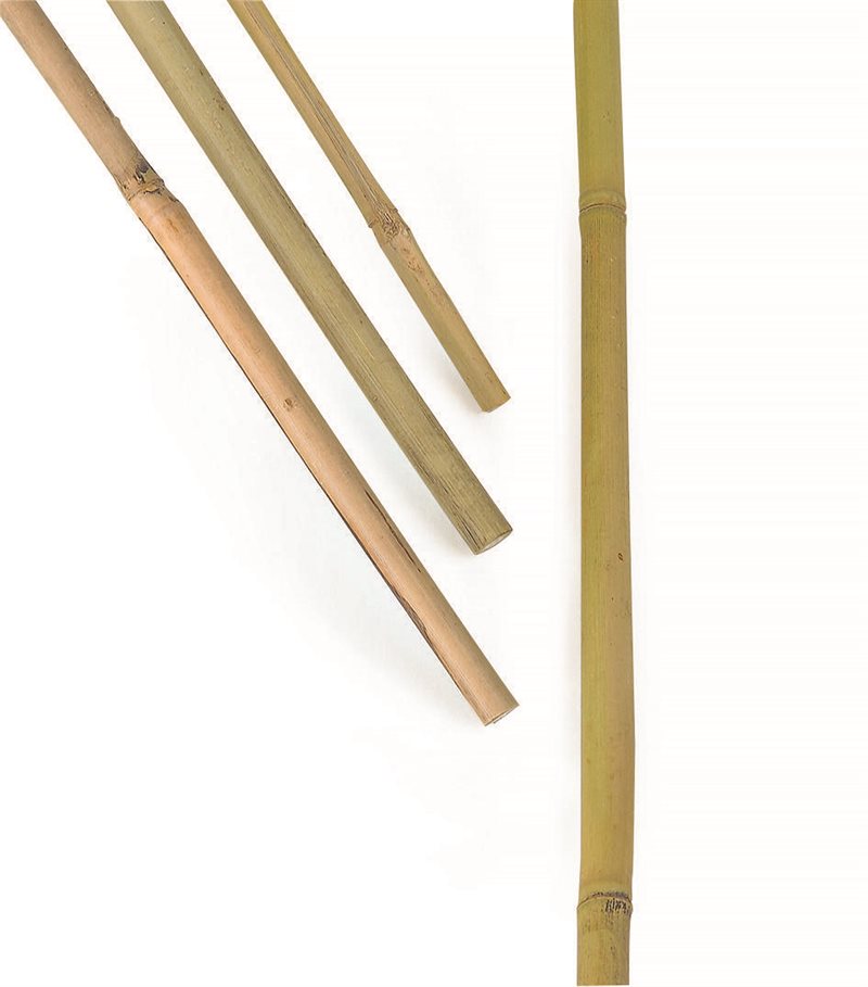 Product Image for Bambukäpp, 150 cm, 5-pack