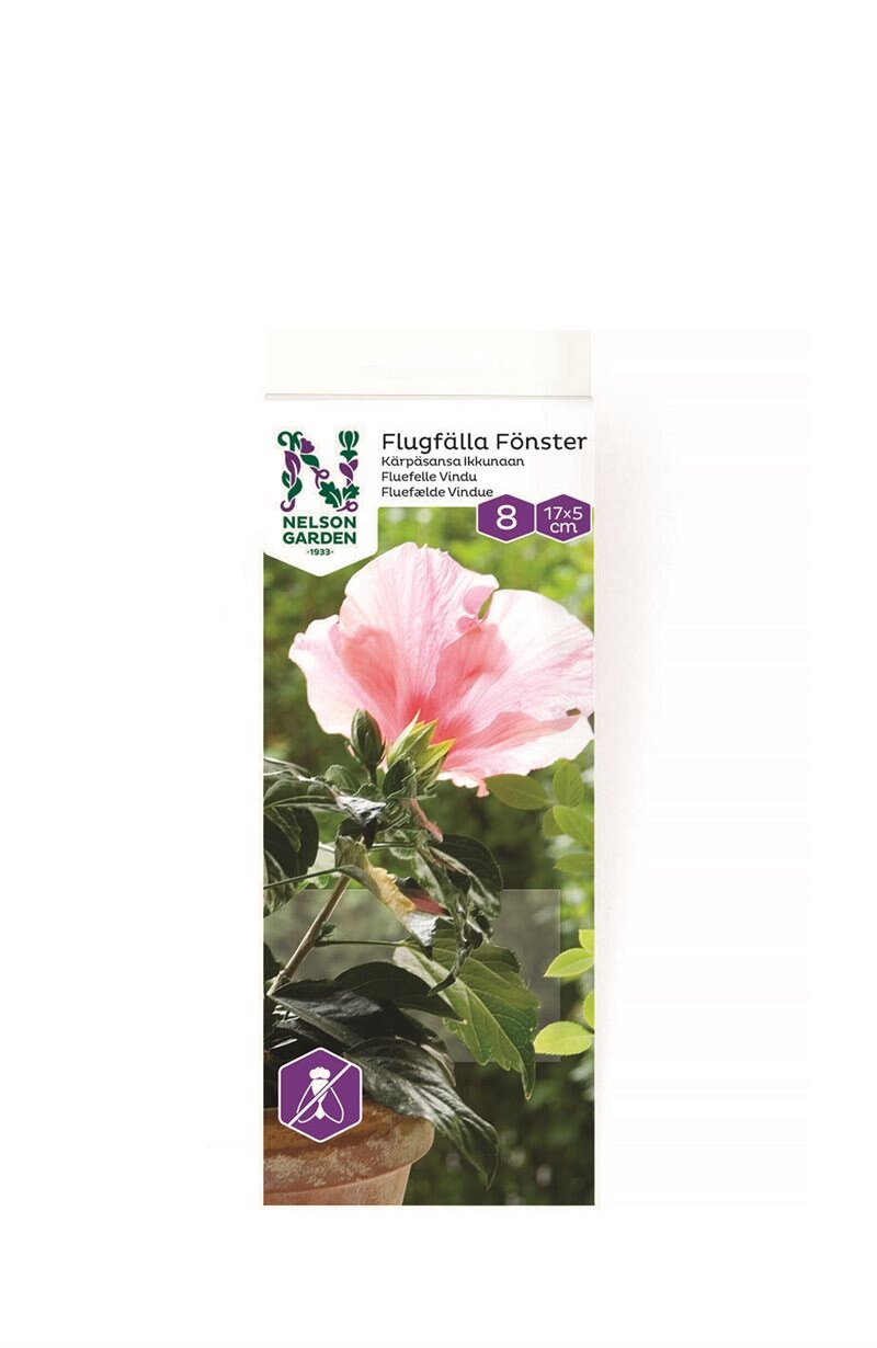 Product Image for Flugfälla för fönster, 8-pack