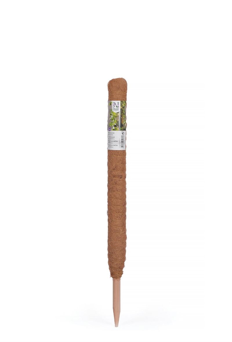 Product Image for Växtstöd trä och kokosfiber, 70 cm