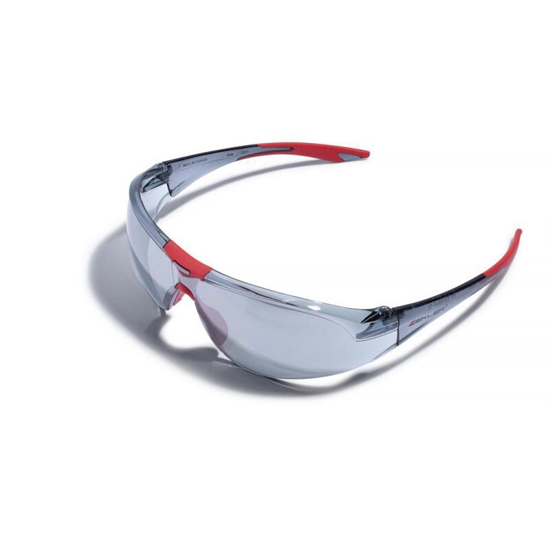 Product Image for Skyddsglasögon zekler 31 hc/af Silver