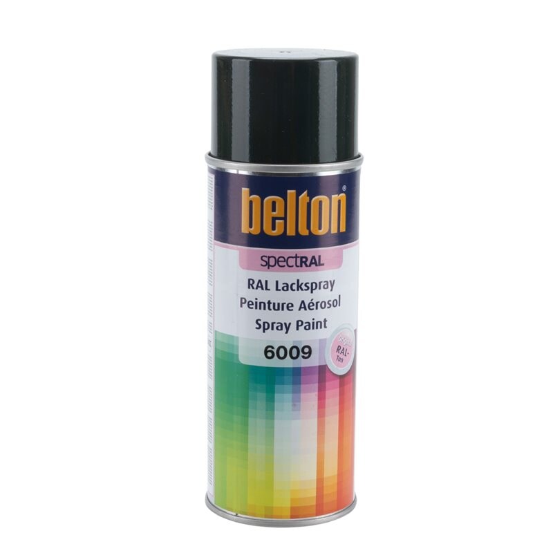 Product Image for Sprayfärg, Grangrön RAL 6009, 400 ml